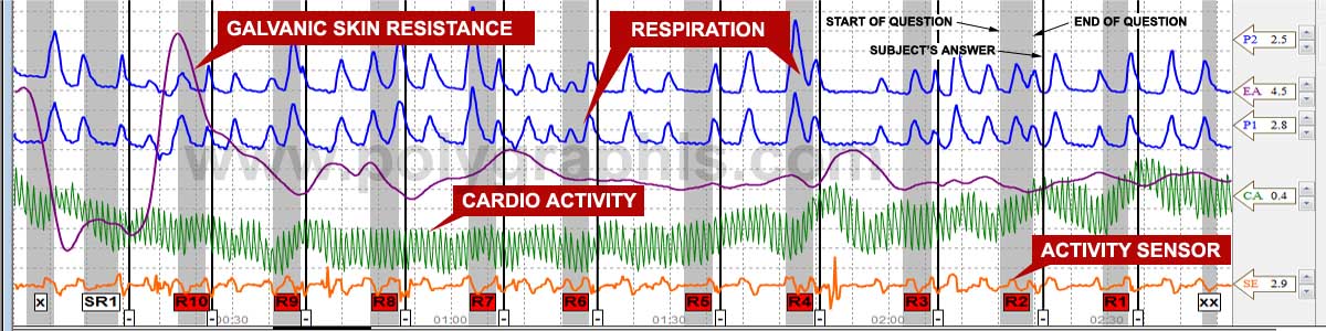 Polygraph Chart Loading